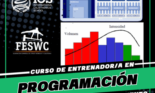 miniatura del curso